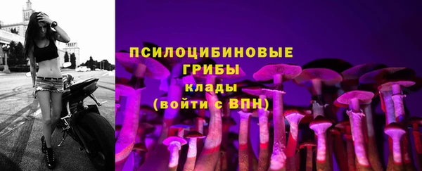 гидра Козельск