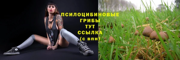 гидра Козельск