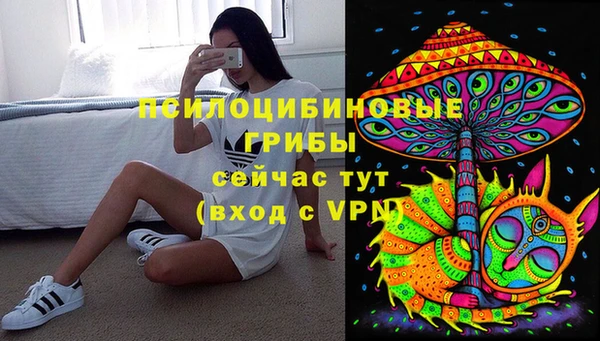 круглые Козловка